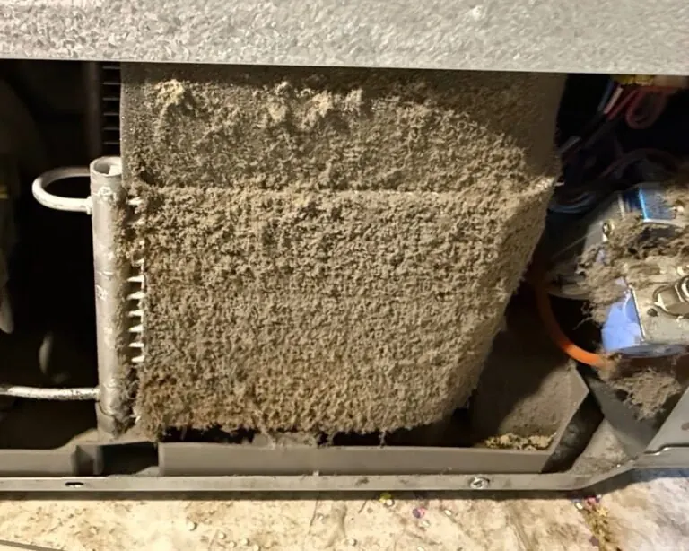 Dust-clogged refrigerator condenser coils that need cleaning